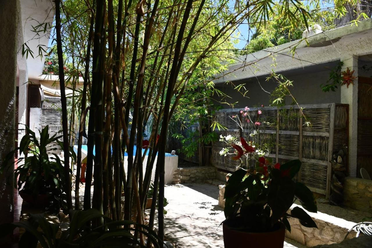 La Playita Hostal Сан-Хосе-дель-Кабо Экстерьер фото